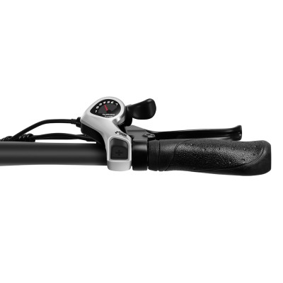 Touroll S2 Pro Rower elektryczny z grubymi oponami, silnik 750 W, akumulator 48 V 15 Ah, opony 20" × 4,0" - Niebieski