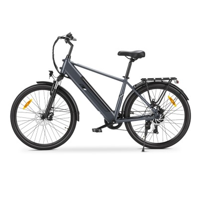 Touroll J2 Rower elektryczny High-Step, silnik 250 W, zasięg 100 km, 7-biegowa przerzutka Shimano – Szary