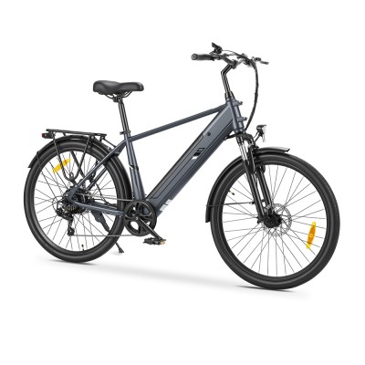 Touroll J2 Rower elektryczny High-Step, silnik 250 W, zasięg 100 km, 7-biegowa przerzutka Shimano – Szary