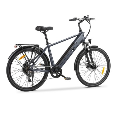 Touroll J2 Rower elektryczny High-Step, silnik 250 W, zasięg 100 km, 7-biegowa przerzutka Shimano – Szary